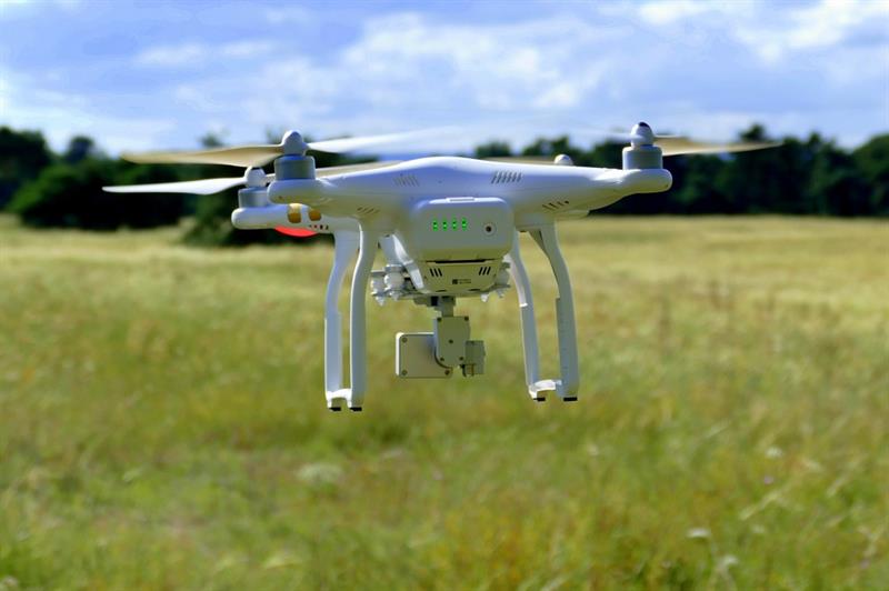 Drones maken de verborgen erfenis van planten zichtbaar