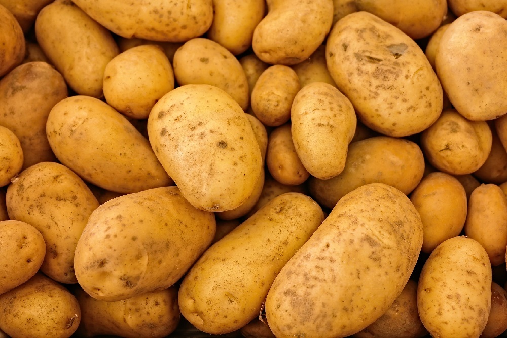 Piepr brengt ‘duurzame’ aardappel terug in harten en hoofden van Nederlanders