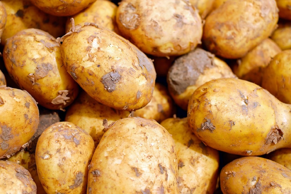 Beslisboom bewaring aardappelen kiemremming
