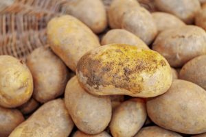 Aardappelprijs in winkel gestegen, maar af boerderij laag