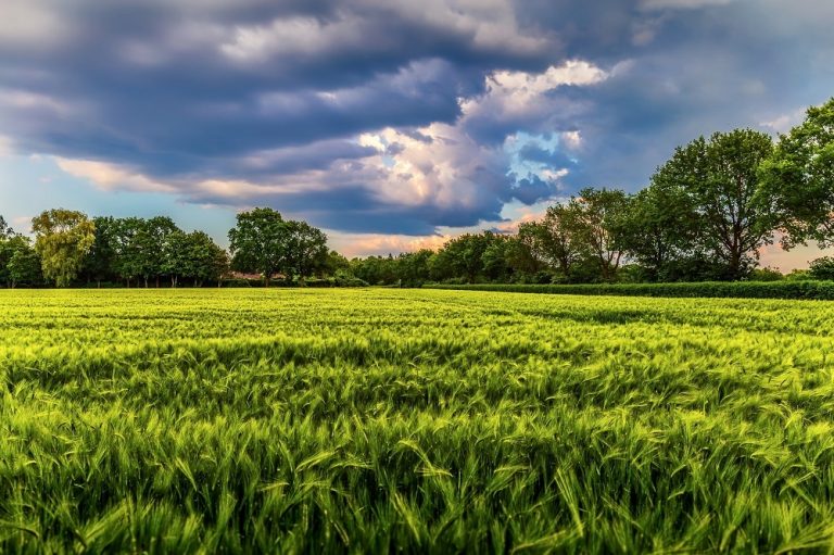 Landbouwbegroting: Voor een dubbeltje op de eerste rang