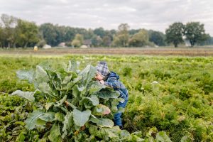 Aardpeer haalt 7,2 miljoen euro op voor natuurvriendelijke landbouw