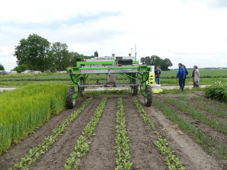 Mechanisatie strokenteelt met rijpaden