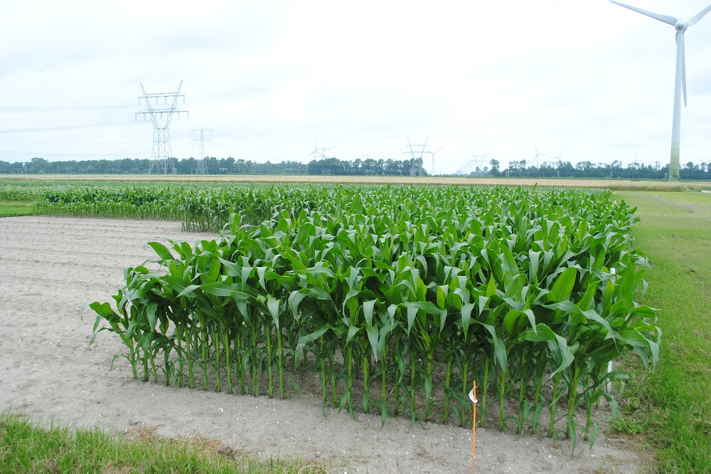 "Tonen wat verdeling ons qua opbrengsten heeft opgebracht"