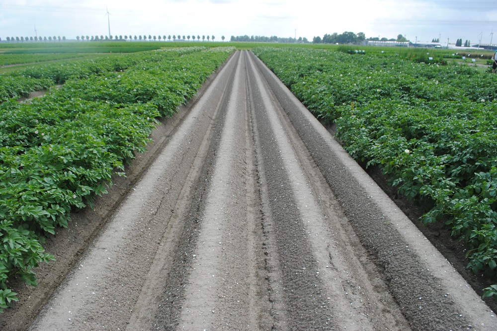 Verschillende praktijkschema's in aardappelen