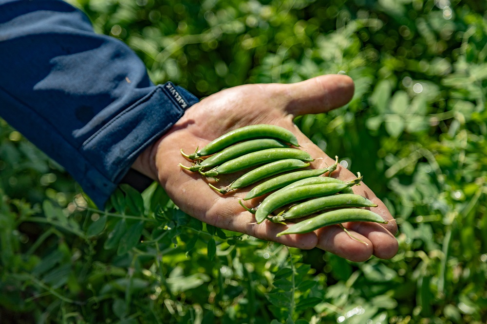 HAK rondt On the way to PlanetProof duurzaamheidsplan af