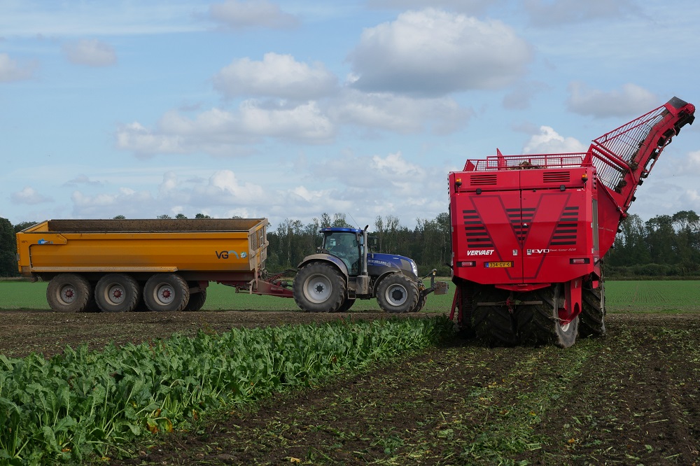Veel klanten huren de T7 en VGM EV 30 in combinatie met het bietenrooien. 