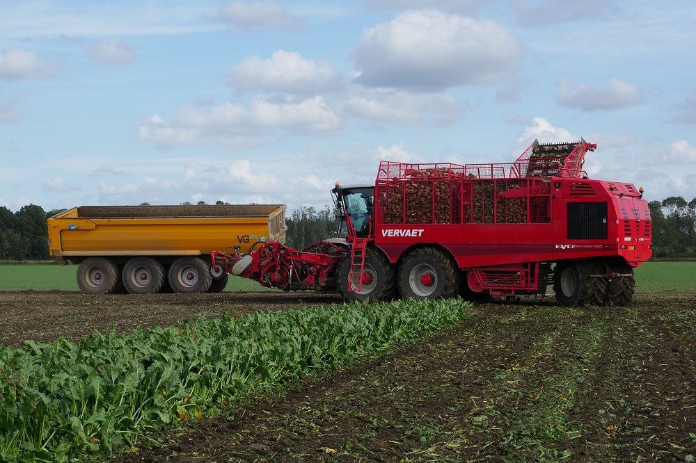 De laadcapaciteit van de VGM kipper past prima bij de 25 kuub bunker van de Beet Eater.