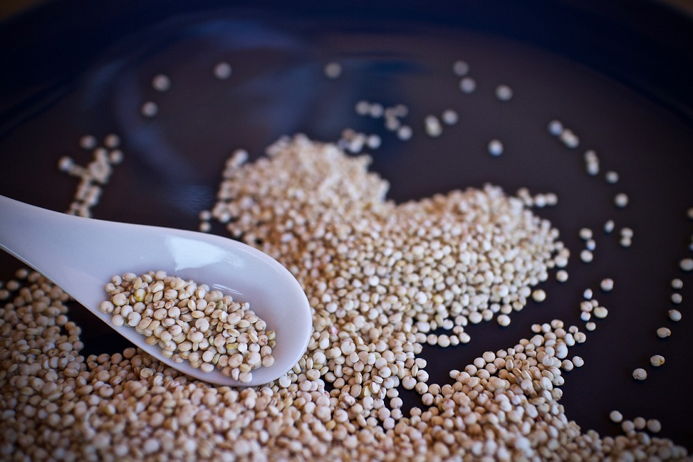 Provincie Zeeland geeft subsidie voor quinoa, zeeteelt en uiensorteerder
