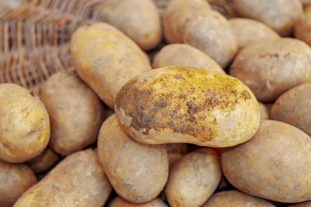 Afvlakkende aardappelprijzen voor consument en teler