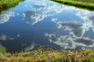 Vewin-lijst gewasbescherming en biociden in oppervlaktewater geactualiseerd