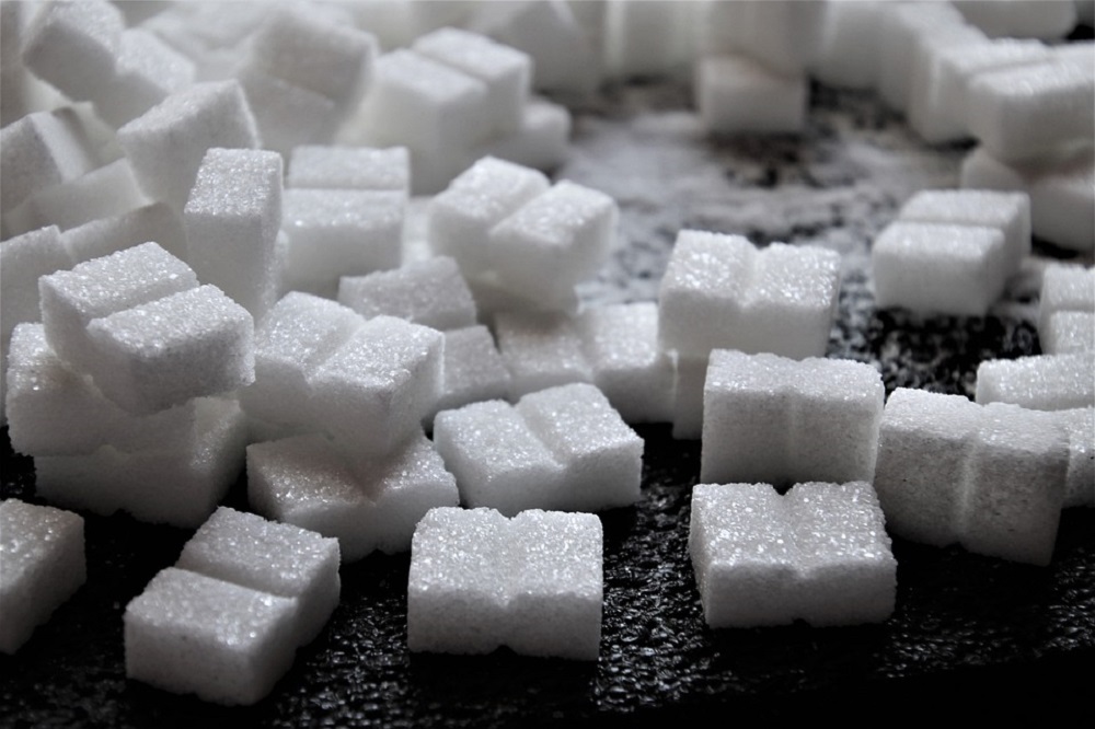 Bietencampagne: opbrengst 13,8 ton suiker per hectare