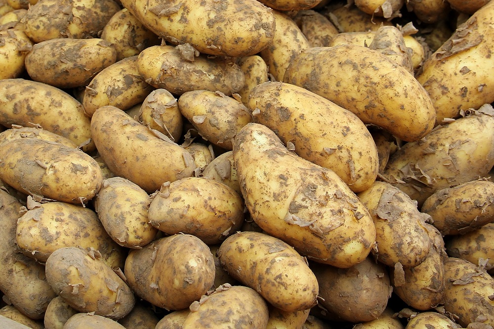 Lagere aardappelprijzen voor boer maar producentenprijzen lopen op