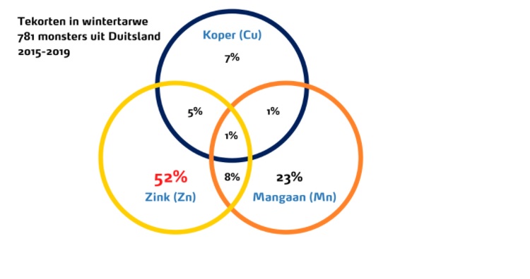 Tekorten wintertarwe