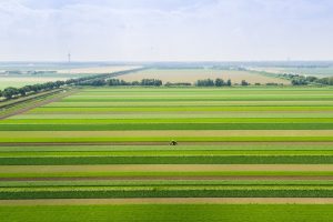 EU-pakket biedt ondersteuning aan Nederlandse boeren en tuinders
