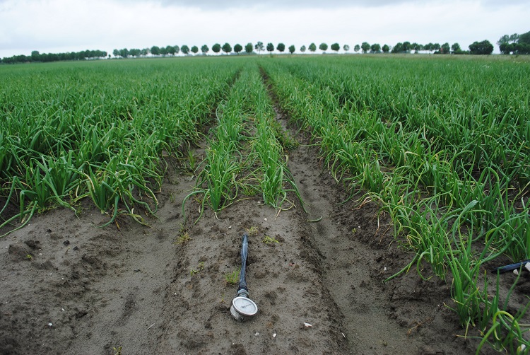 Driptape met drukmeter