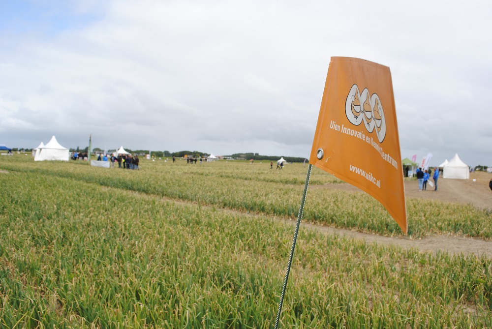 Toekomstige uitdagingen centraal op Uiendag: ‘De ui in transitie’ 