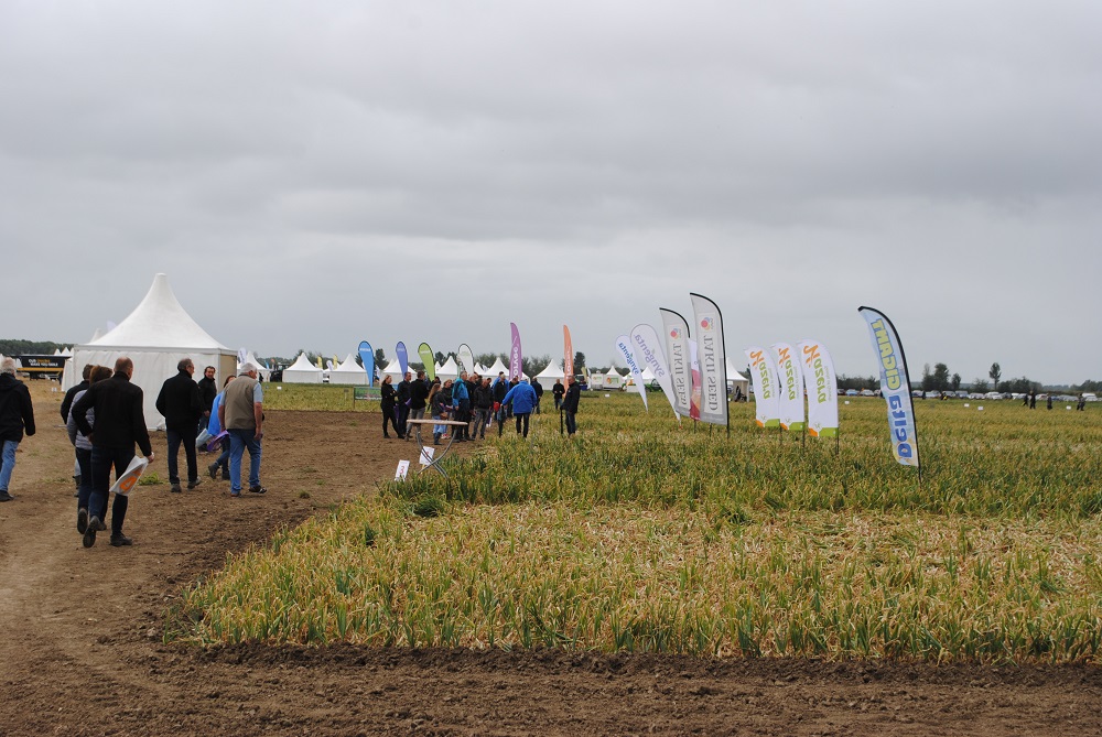 Toekomstige uitdagingen centraal op Uiendag: ‘De ui in transitie’ 