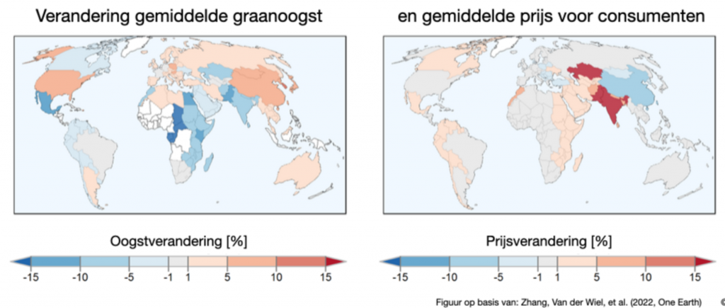 Hogere graanopbrengsten en toch grotere voedselonzekerheid