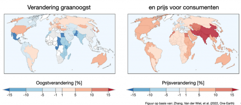 Hogere graanopbrengsten en toch grotere voedselonzekerheid