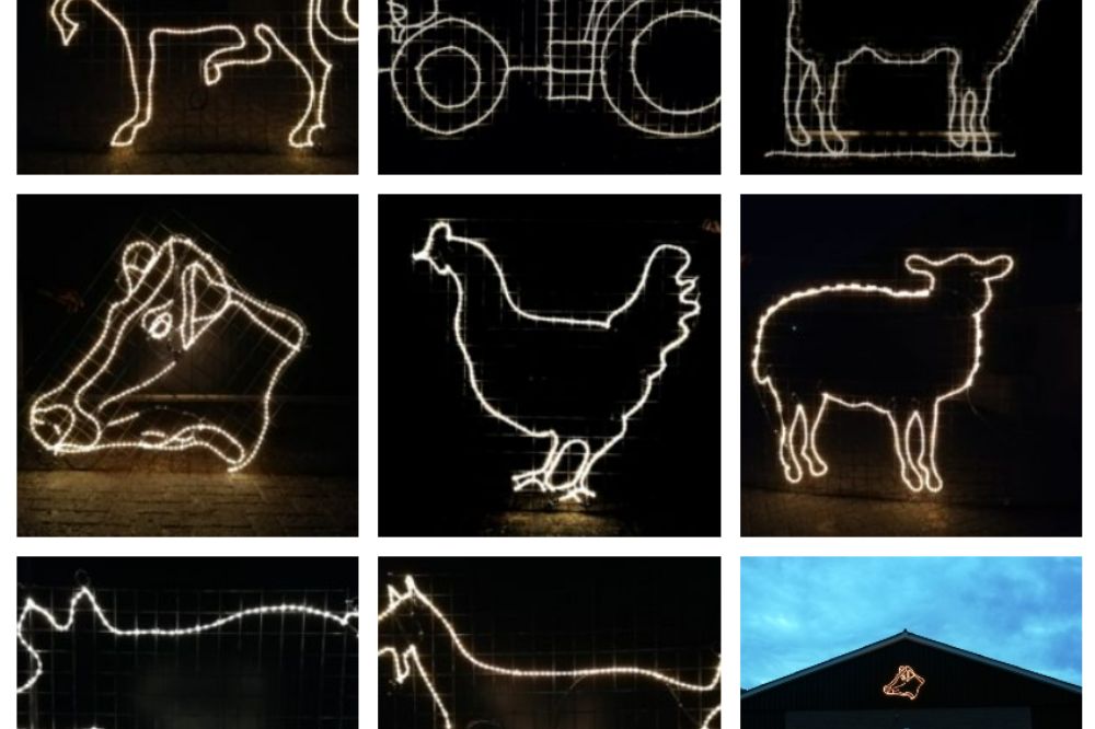 Houten Noppenpuzzel Boerderijdieren, 7st. online ... | Speelgoed