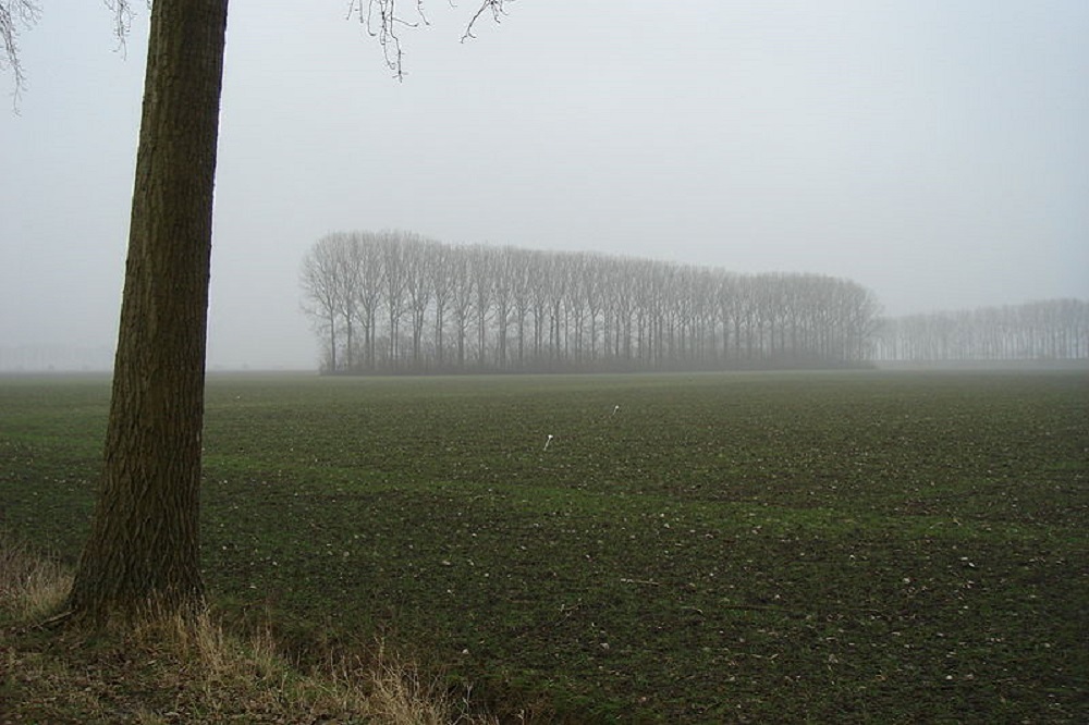 Hedwige polder