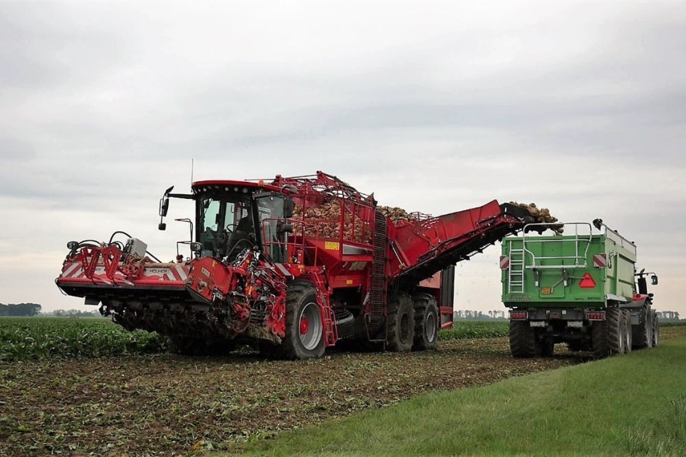 Jos Heeman tevreden over opbrengst van vroege levering suikerbieten