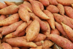 Eerste vondst sweet potato chlorotic stunt virus in zoete aardappel door NVWA