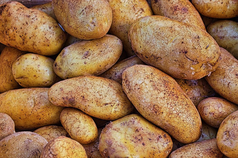 Duurdere aardappelproducten, telersprijs aardappelen lager