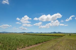 Gemeenschappelijk landbouwbeleid (GLB)