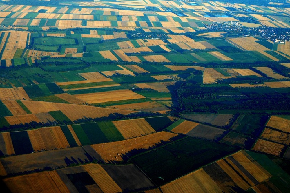 Akkerbouw ziet belangrijke stappen van kabinet voor biobased