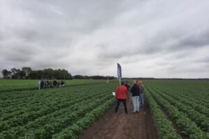 Velddag pootaardappelen