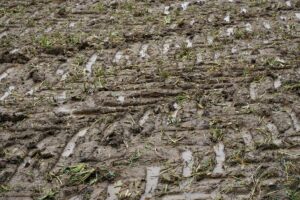 Vandinter Semo bodem