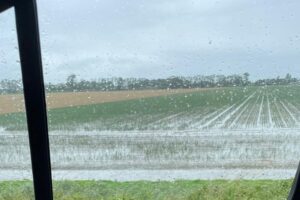 Waterschappen proberen wateroverlast te beperken