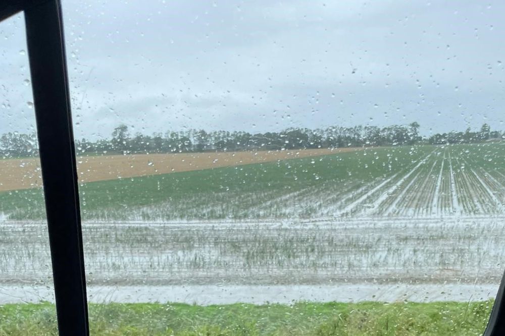 Waterschappen proberen wateroverlast te beperken