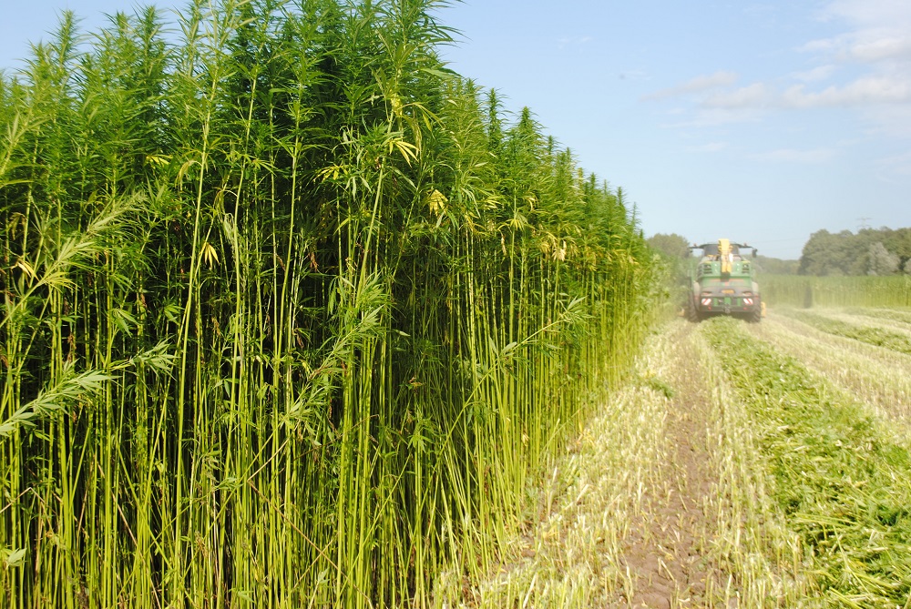 Nationale Aanpak Biobased Bouwen biedt perspectief