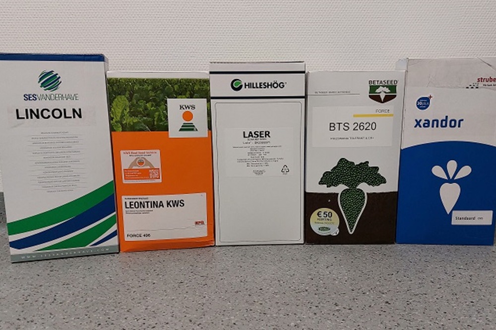 Kies voor de juiste suikerbieten rassen in 2024