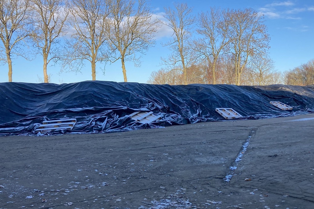 5 tot 6 graden vorst op komst, nog 6.500 ha bieten in de grond