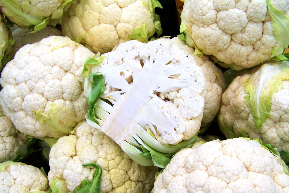 Ton Slagter nieuw bestuurslid LTO Akkerbouw & vollegrondsgroente