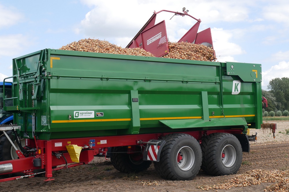 Meer uien geoogst, aardappeloogst neemt af