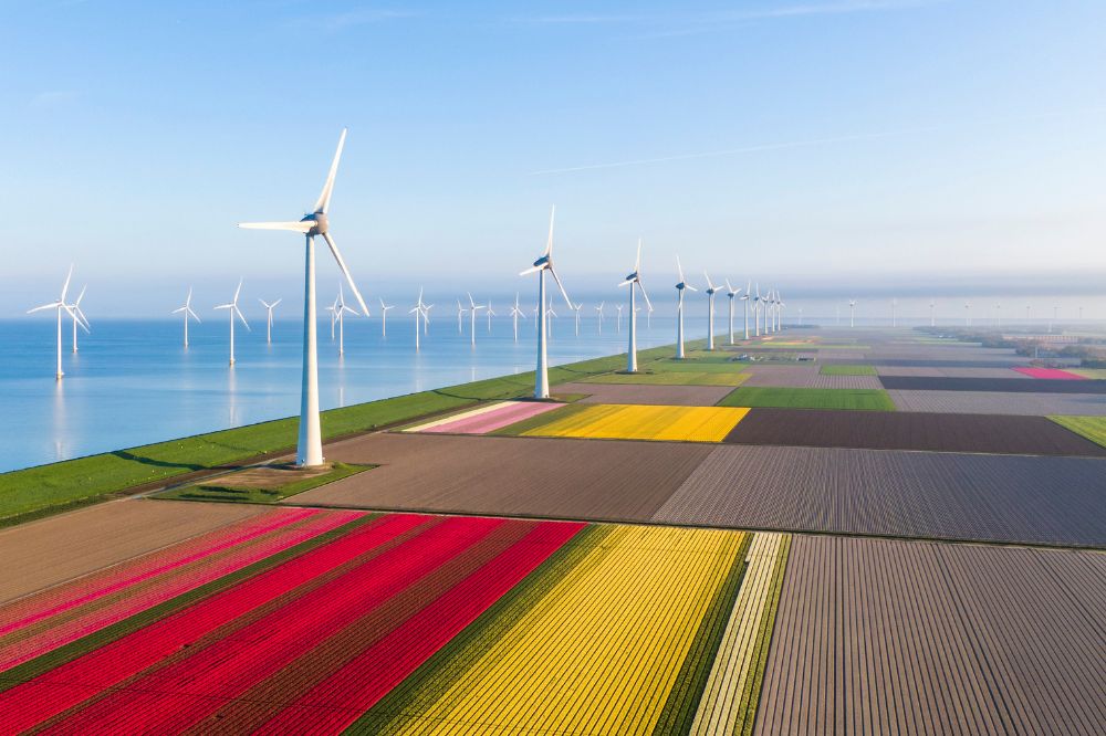 Nieuwe bodemdalingskaart Flevoland bevestigt beeld