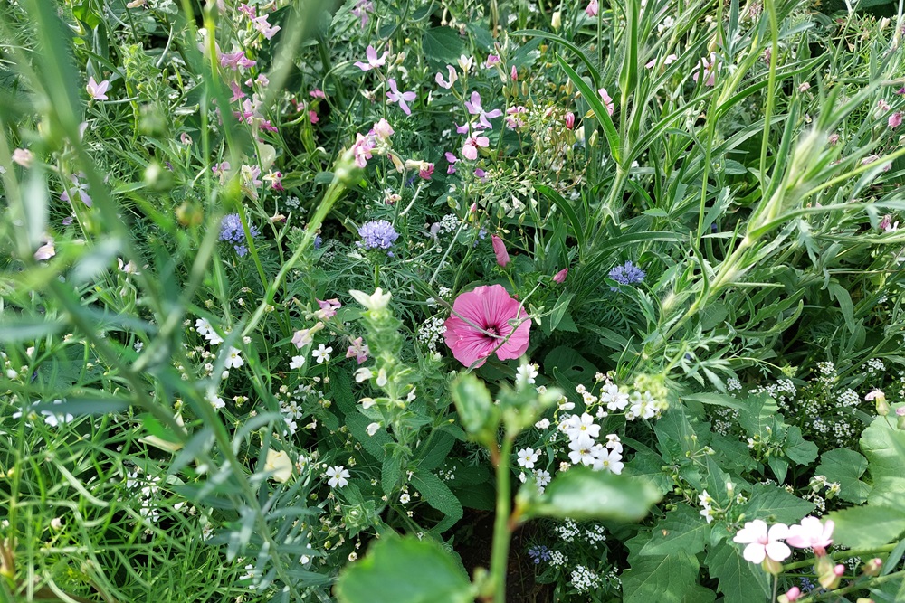 Pakken we de glb-handdoek toch weer op na de valste start?