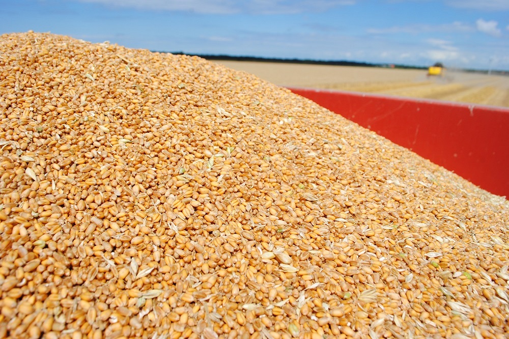 Marktinformatie grondstoffen: graanprijzen in de ban van het weer