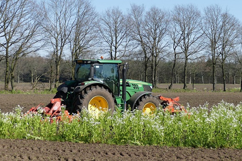 Hoe kies je de juiste groenbemester op vrijkomend land door de oogst?