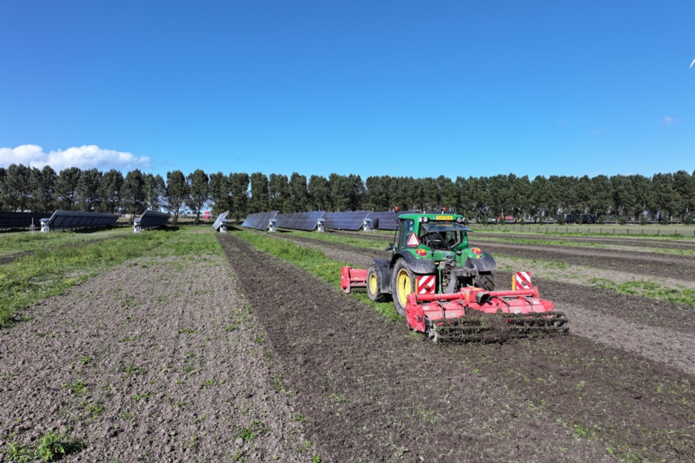 ‘Wasplaatsen essentieel voor duurzame landbouw’