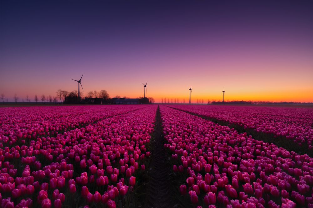 LTO Noord wil in gesprek met Waterschap Zuiderzeeland over NV-gebieden