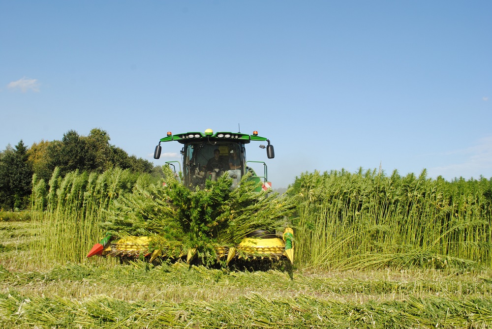 Onderzoek naar gewassen biobased toepassingen deels afgerond