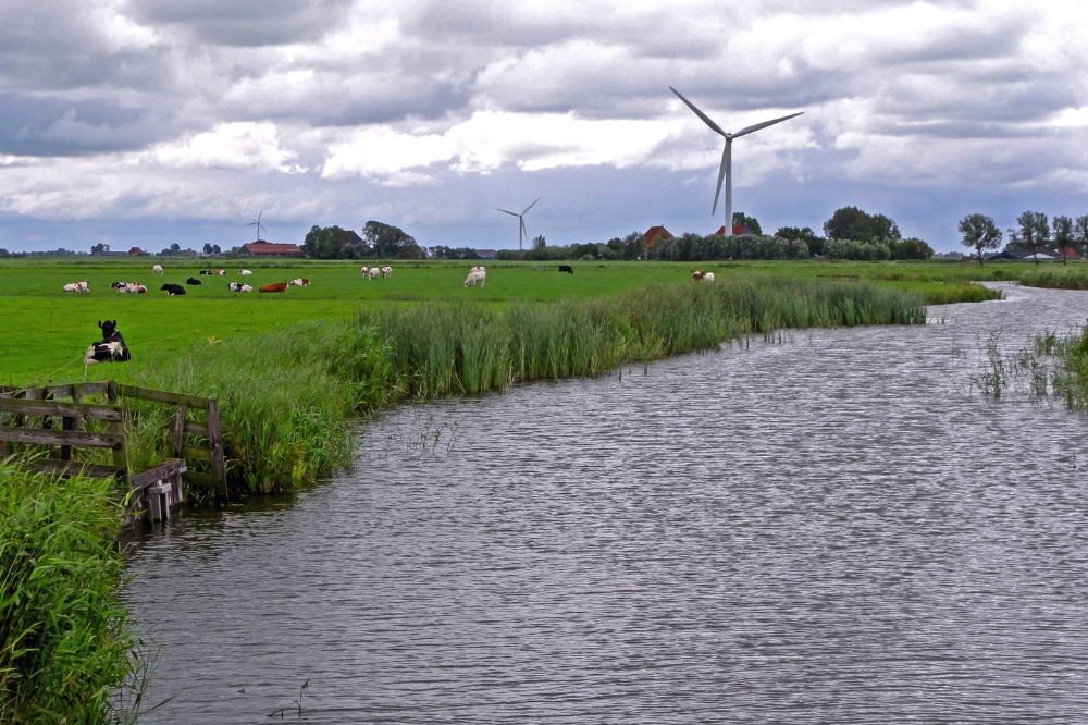 Wiersma: in 2025 waarschijnlijk lagere basispremie