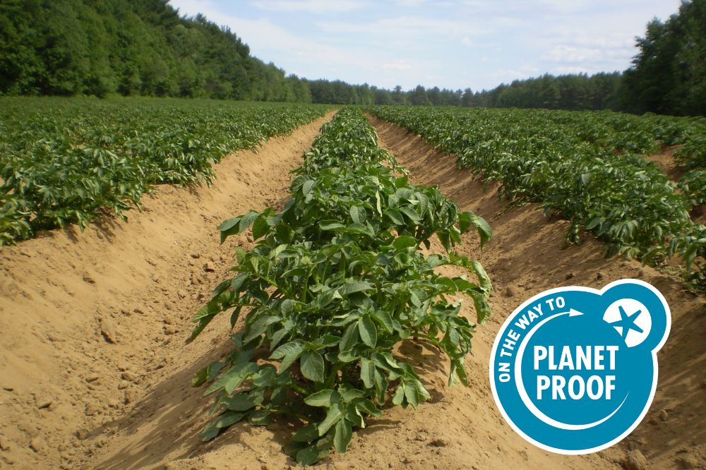 Areaal PlanetProof in plantaardige sector stijgt