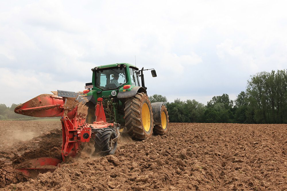 Landbouwers telen in 2025 opnieuw meer granen